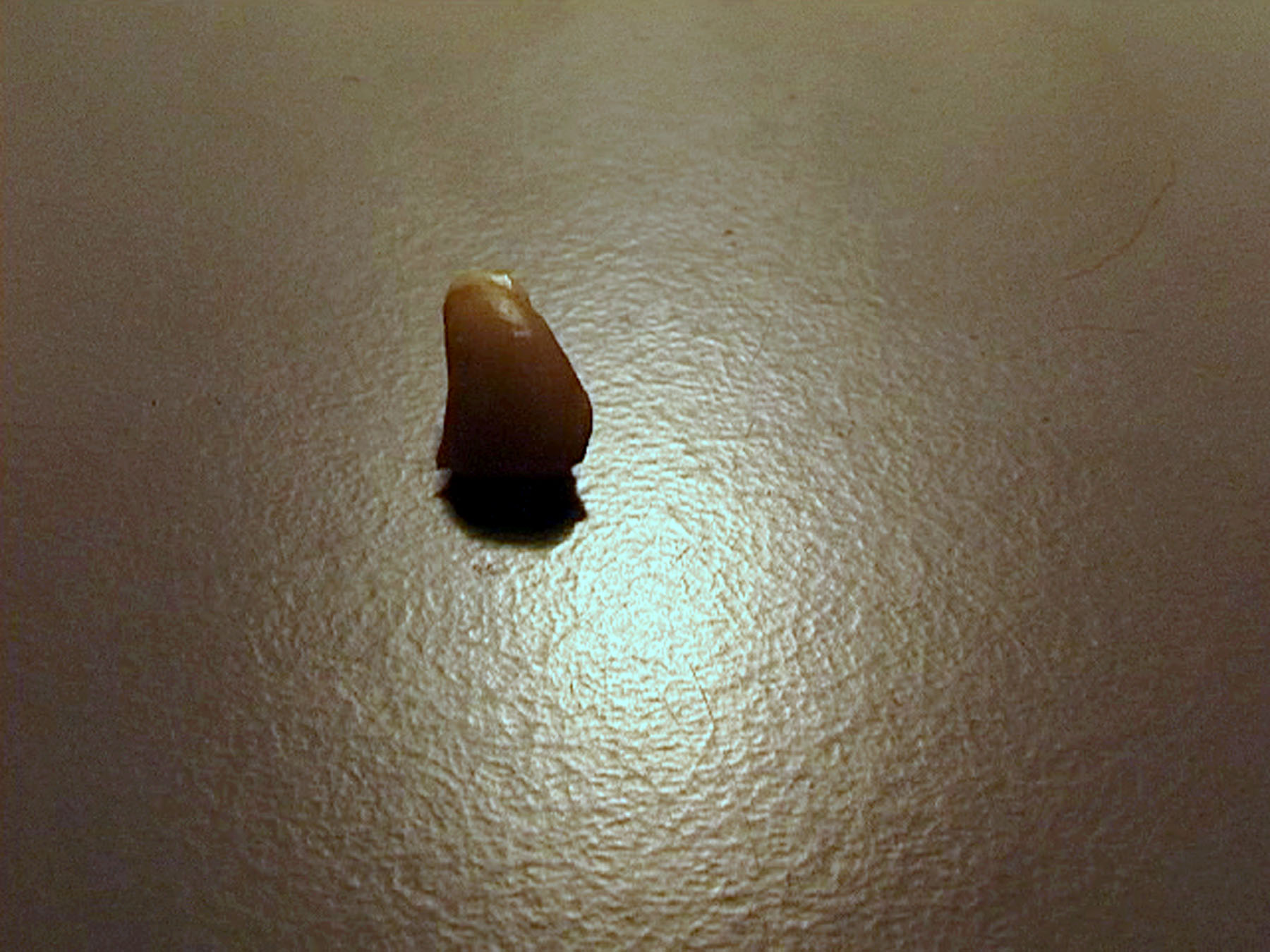 Pyramids / Skunk (Hotel Diaries 5/6)