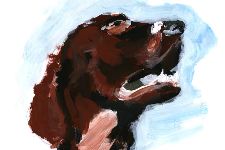 Perdreaux, faisans, lièvres