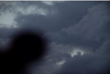 4 roteiros para perrier