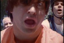 Sweet or Sour? Chicken!