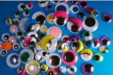 Trannymals Go to Court