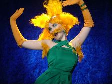 A Short Collection of Hilary Flamingo's Dream Vocations