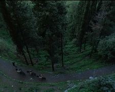 You asked me to wait