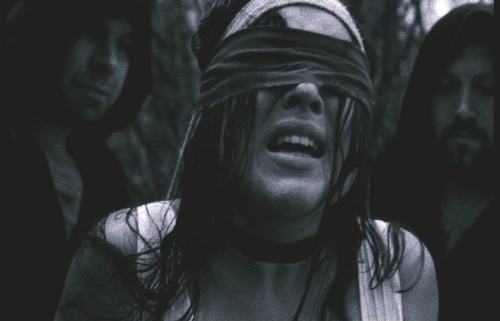 Gardeuse d'oies à la fontaine