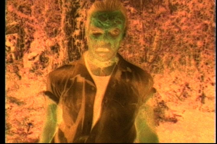 Night of the Kung Fu Zombie Bastards from Hell!