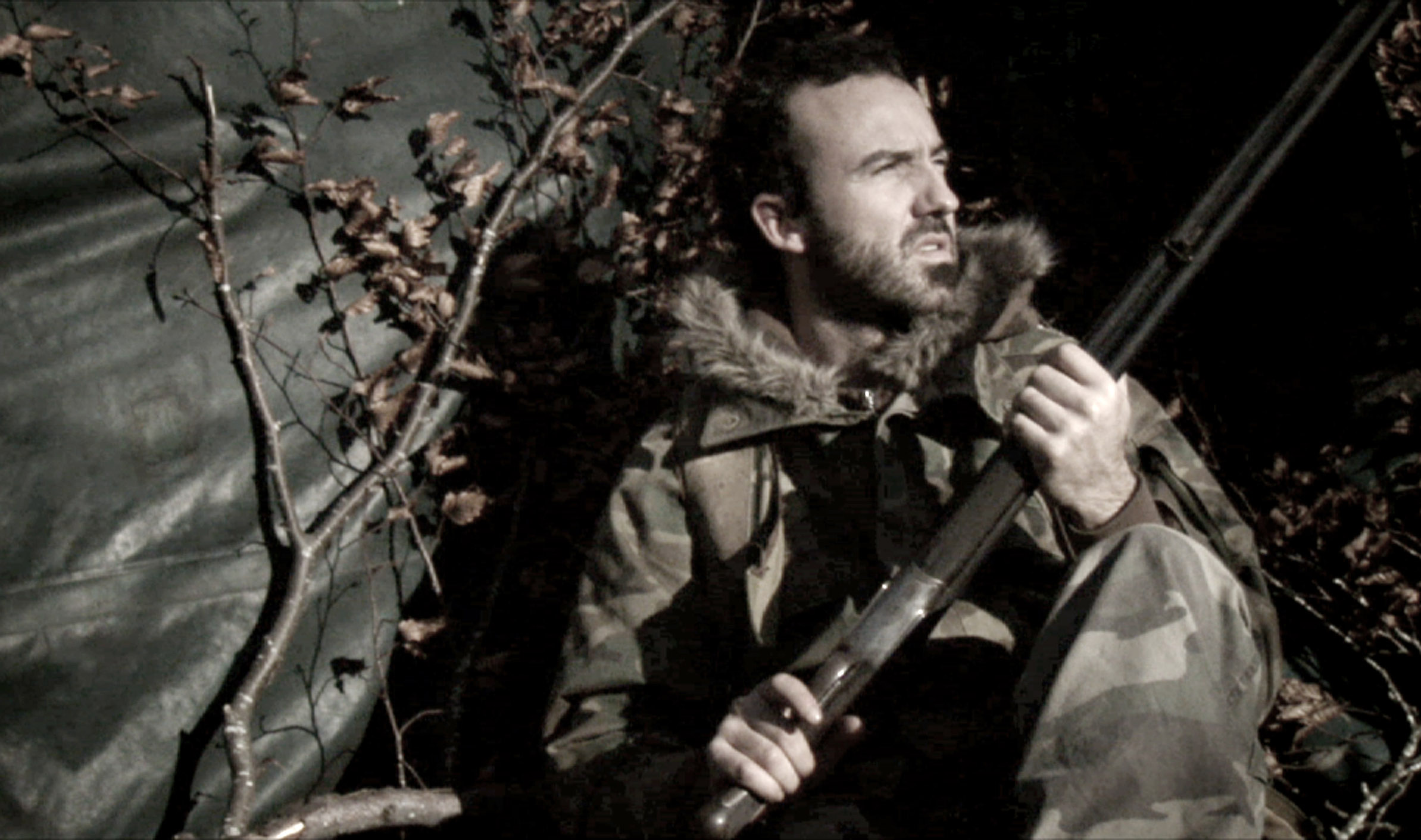 Columba Palumbus (Uso basatia)