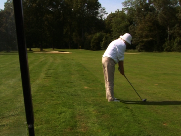 Sangliers ou les brocards