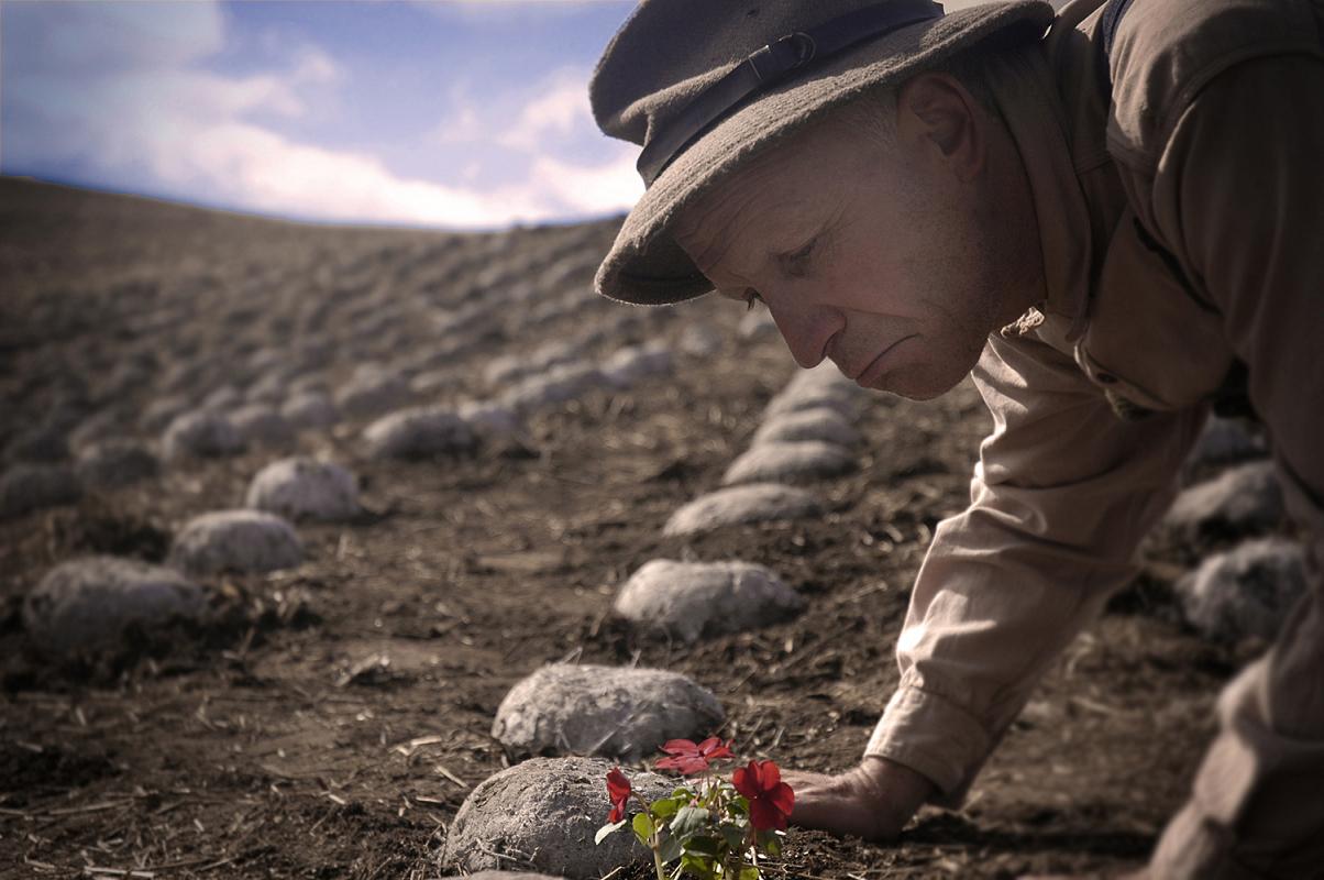 Rock Garden: a Love Story
