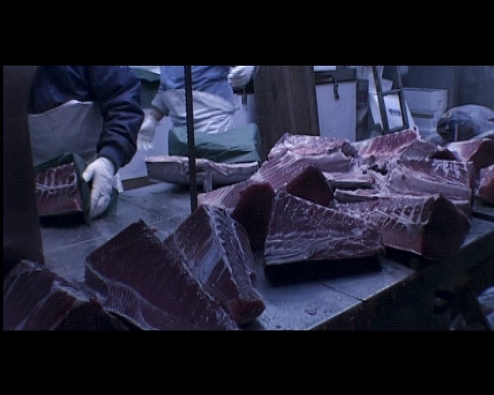 Big Fish Eats Small Fish