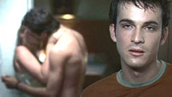 Untitled / The Trees