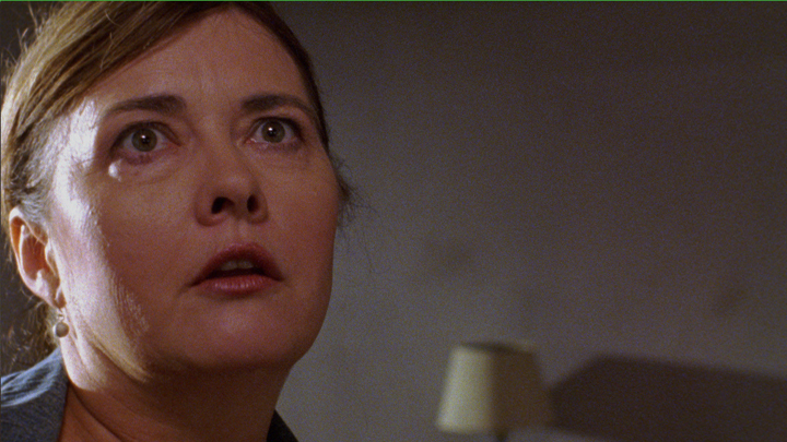 Johnny Goes to Texas