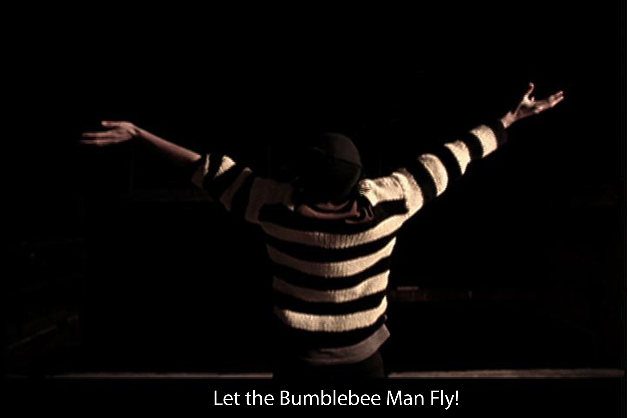 Bumblebee Man