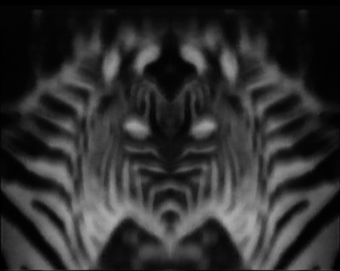 Nature Morte - Still Life