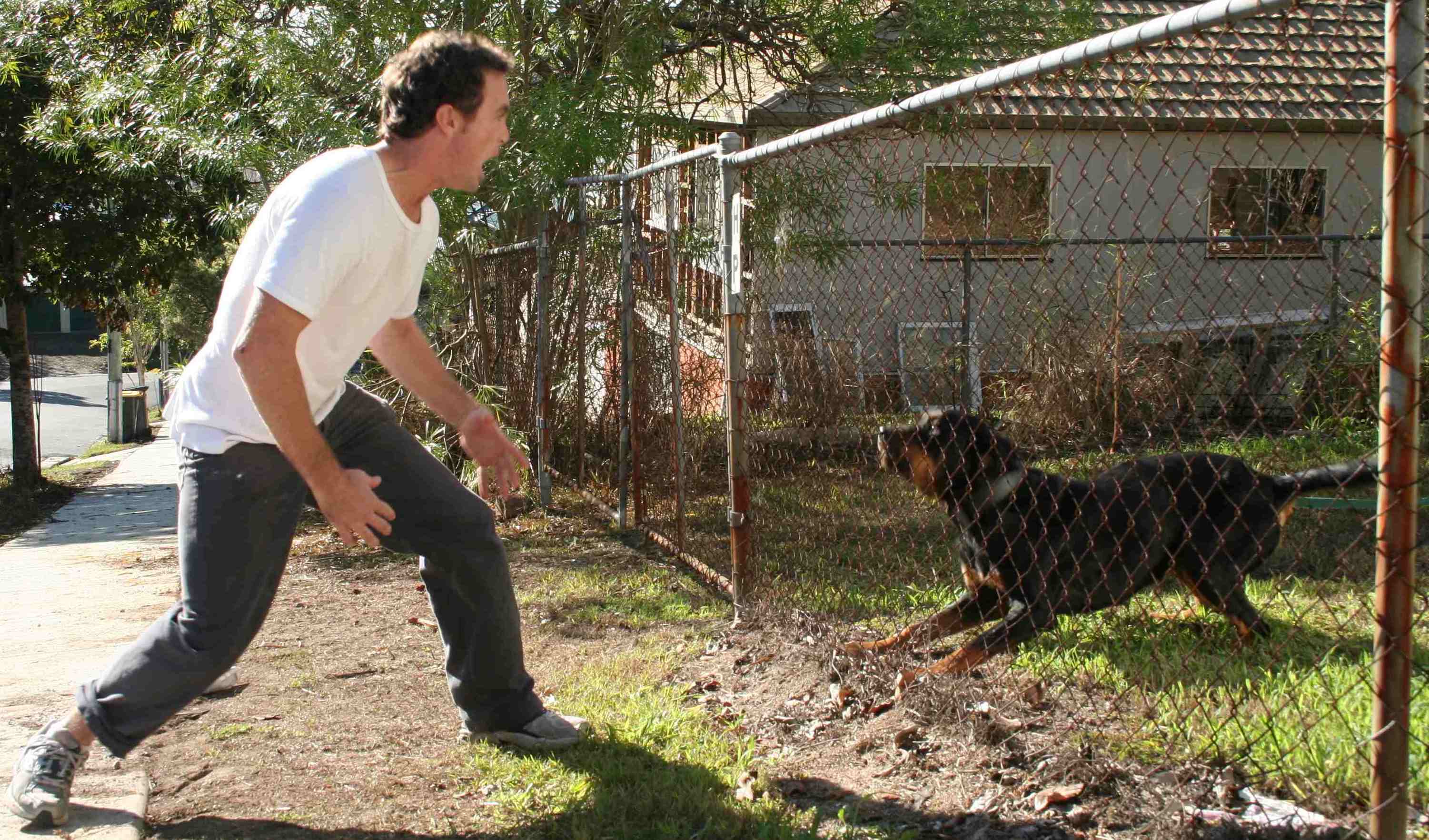 I Can P-Shift Harder