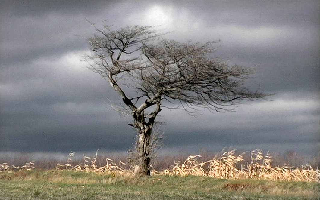 Sur la terre comme au ciel