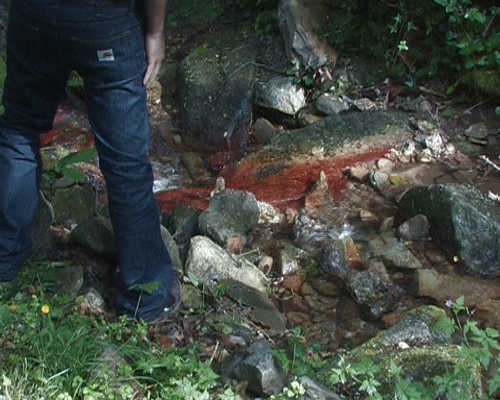 Nous n'irons pas à Buti