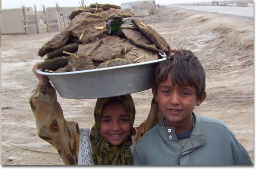 Childhood of the Palm