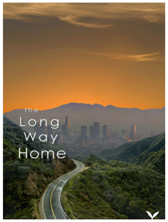 Long Way Home