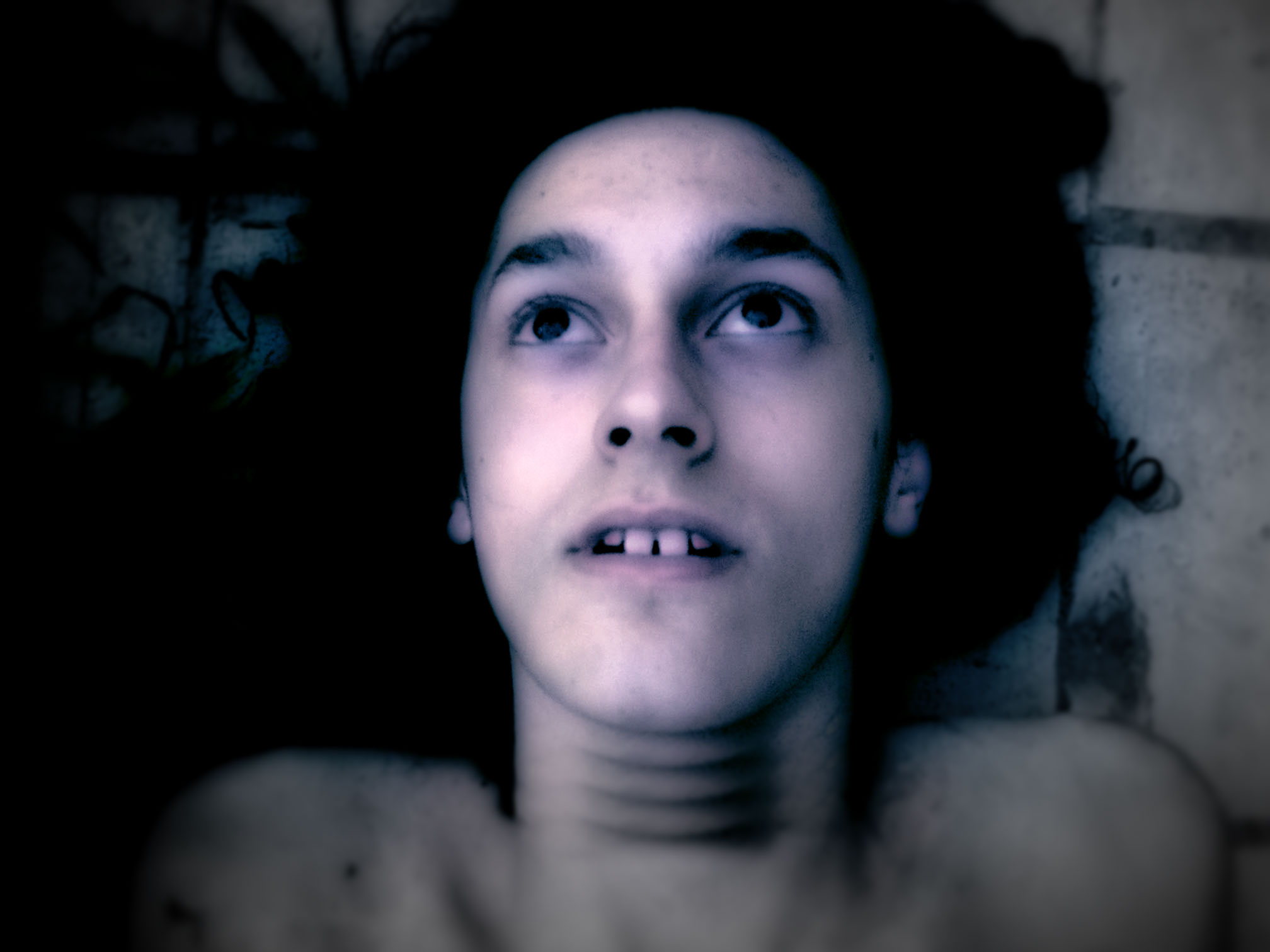 Abraham's Greenhouse