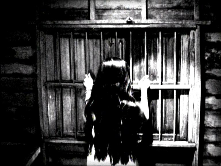 All the Chapter of the Song You Ate Me