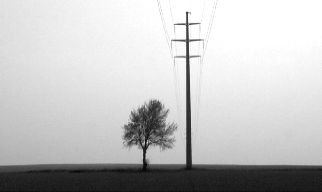 Corps désenchantés