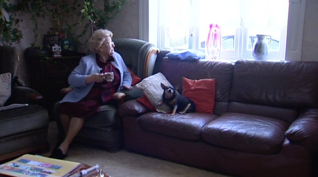 En attendant les olivettes...