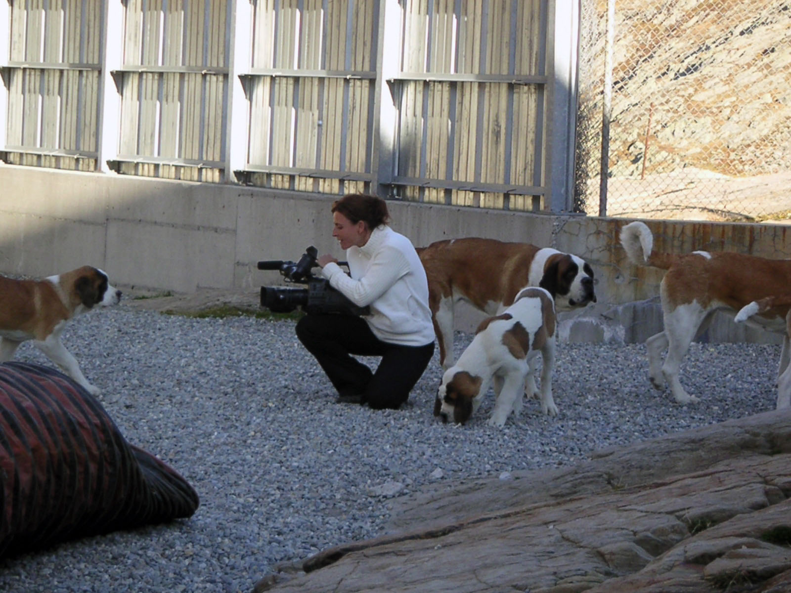 Molosses du Grand Col