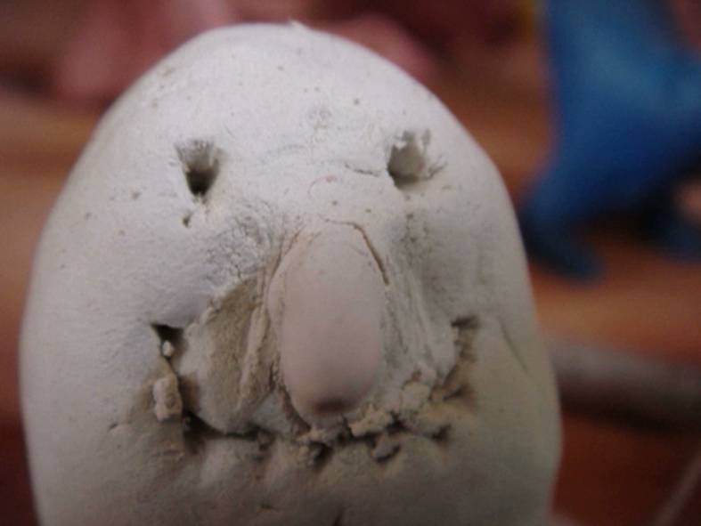 Effet de mes rides n°4