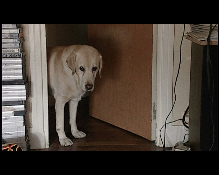 Kaleidoscope (provisoire)