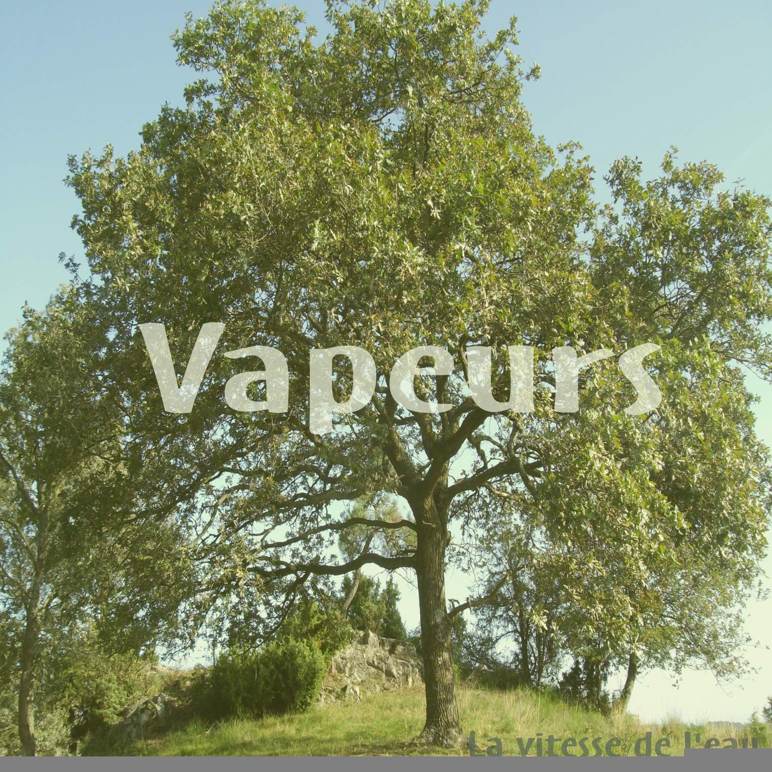 Vapeurs
