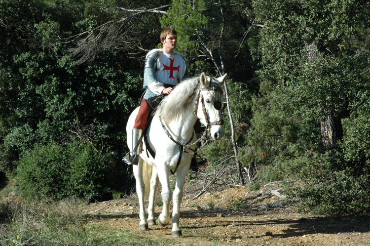 Conseils d'orientation