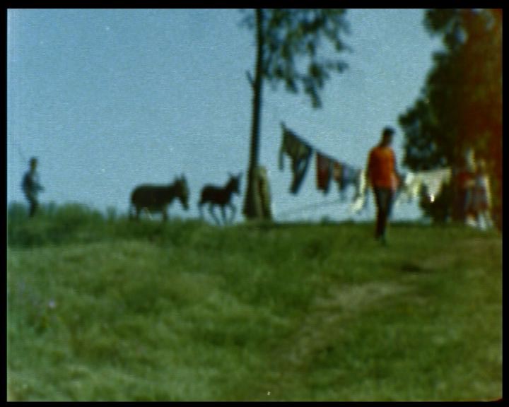 Grrr! nº8: Suena la trompeta, ahora veo otra cara