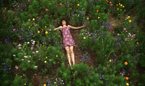 Dans les yeux d'Alice