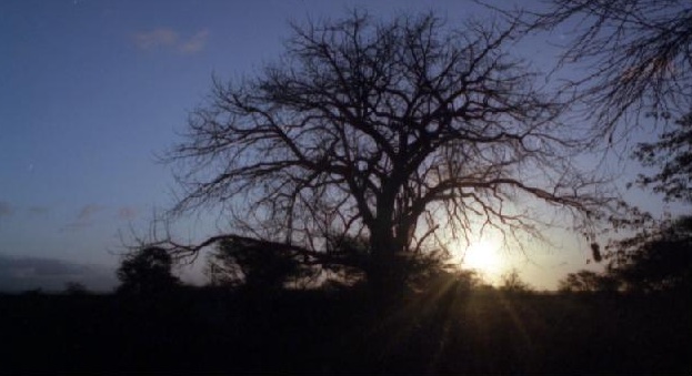 Historias del viento