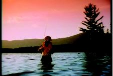 Hardly Boys in Hardly Gold