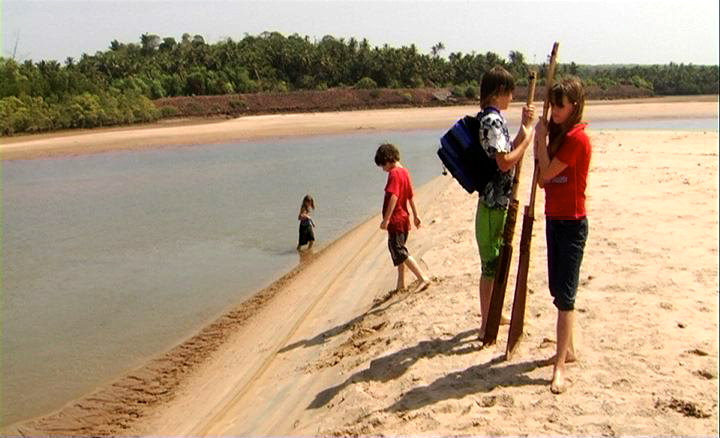 Arizon Tree - A Fairy Tale