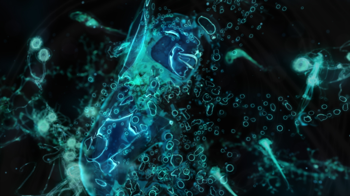 Frequency Morphogenesis