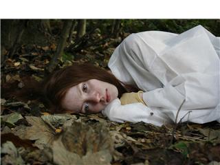 Day of the Broken Dolls