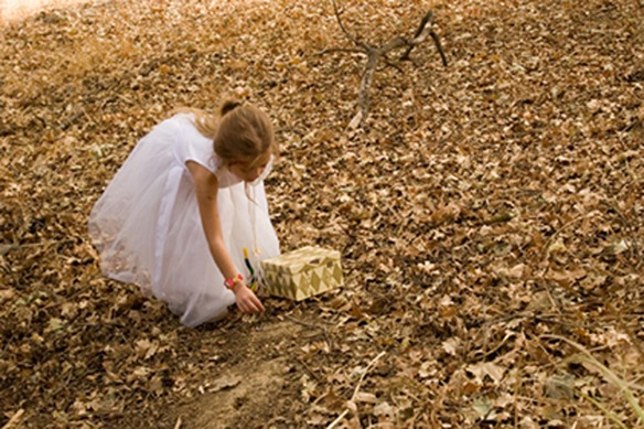 Dandelion in the Pavement