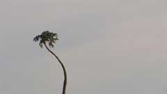 Eines Tages, nachts...