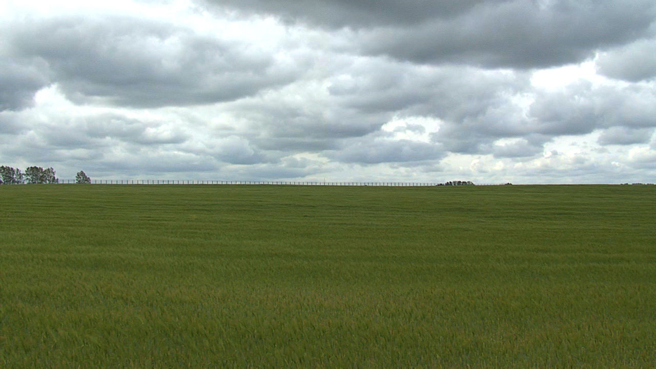 Kavalar - die weisse Zone