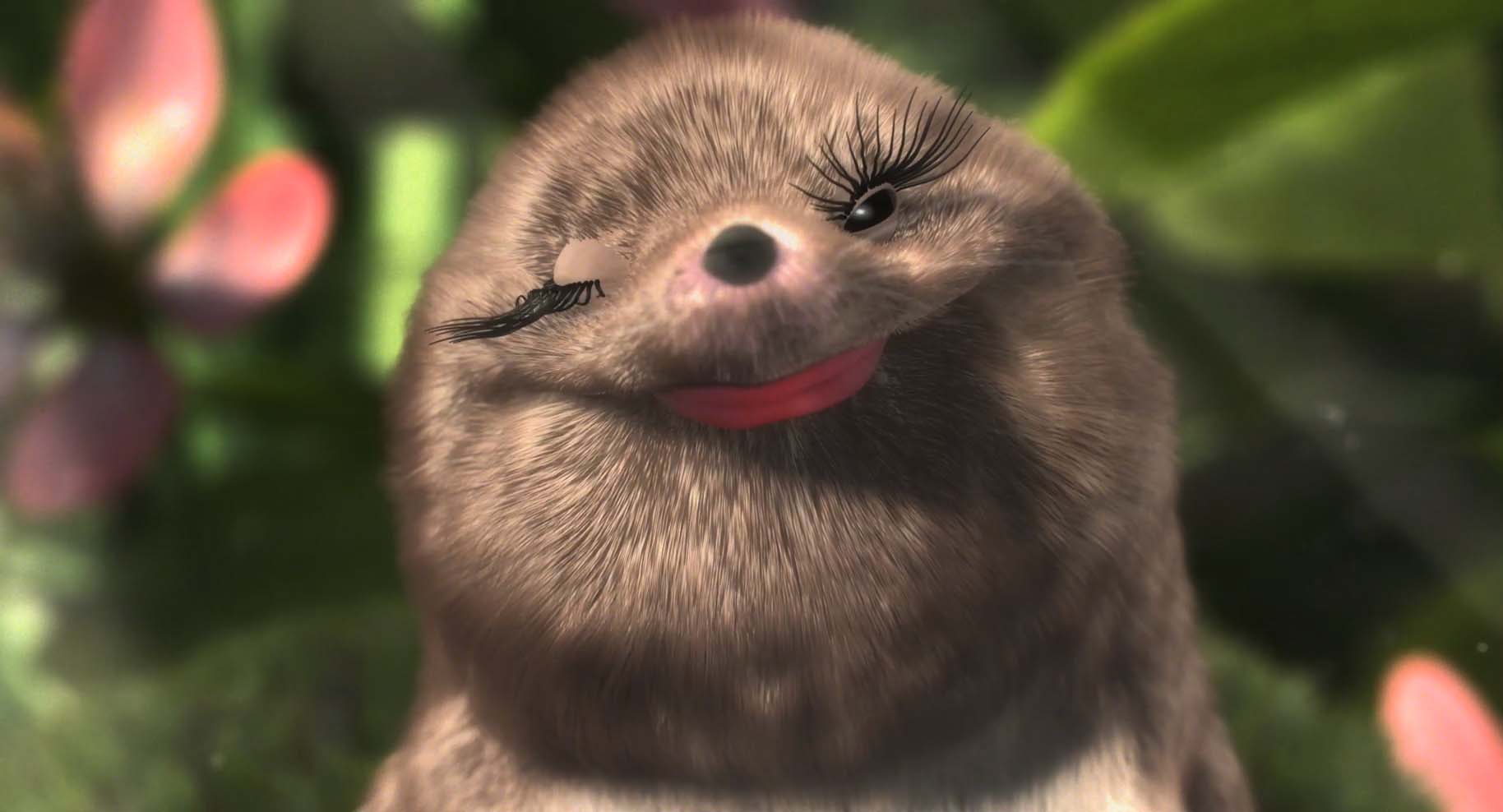 Our Wonderful Nature