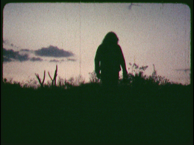 Una cierta búsqueda