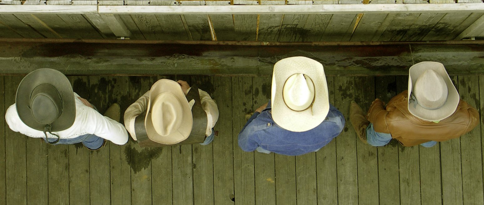 Ein Toilettenwestern