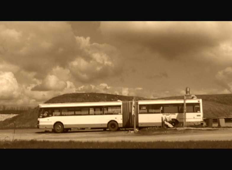 Sylvie et les Américains