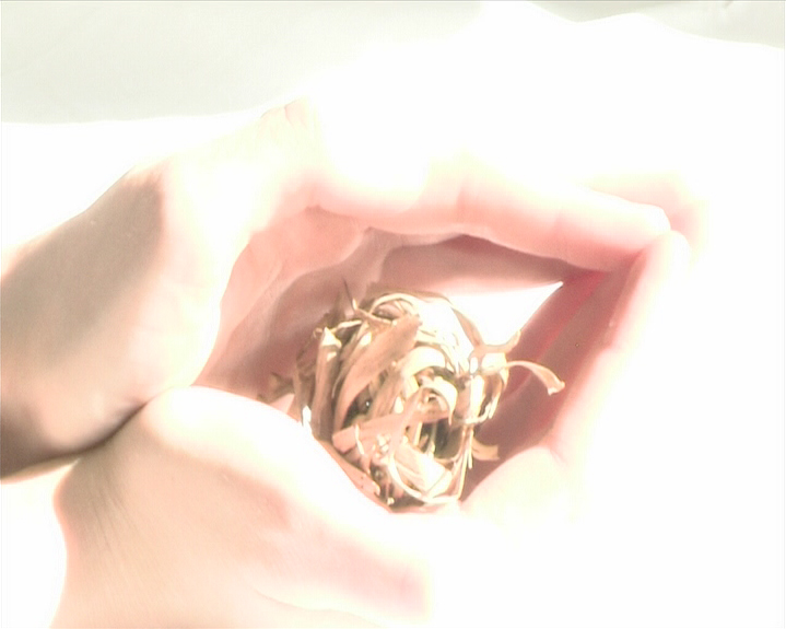 An Inventory Of Bec's World