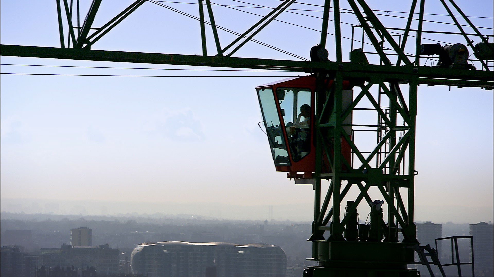 Solitary Life of Cranes