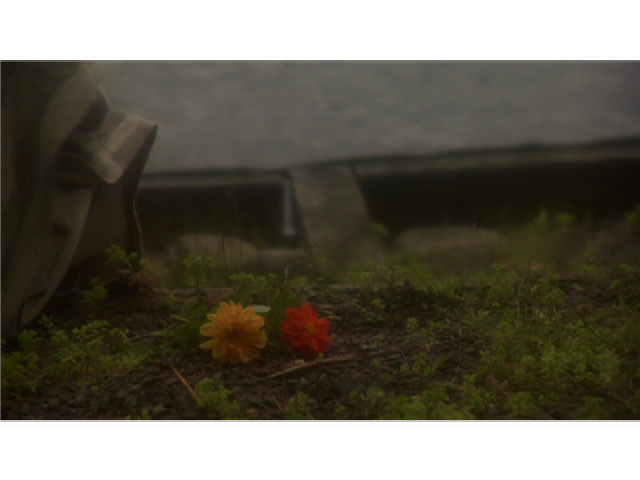 Bendito el fruto de tu vientre