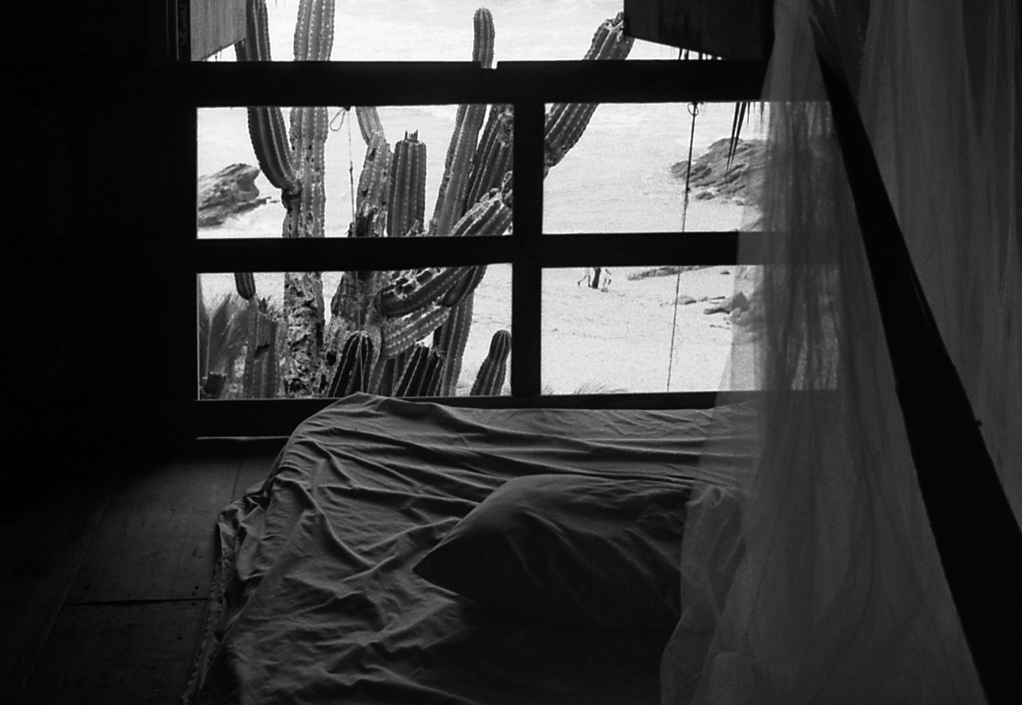 Ni avec toi, ni sans toi