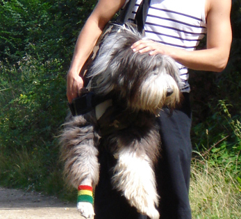 Silence ! on voudrait bien s'aimer